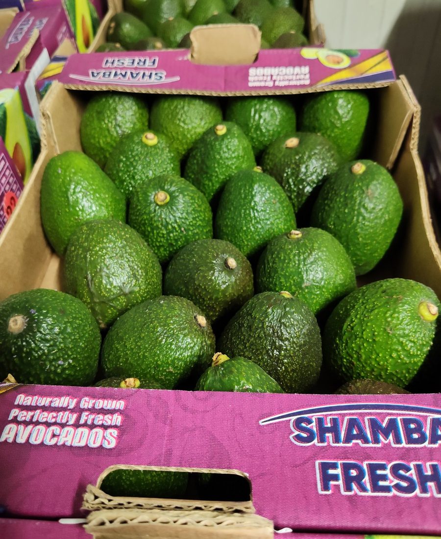 Open Shamba Fresh carton of Hass avocados