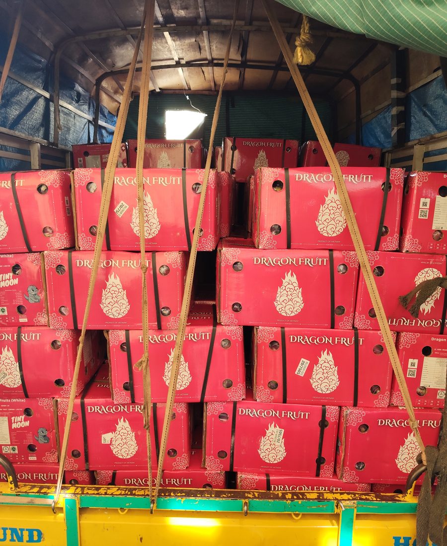 Dragon fruit cartons loaded for dispatch